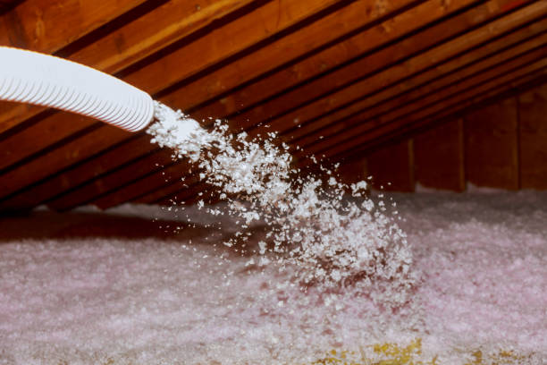 Best Insulation Installation Services in Wheaton, IL