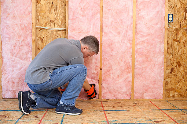 Best Insulation Installation Services in Wheaton, IL